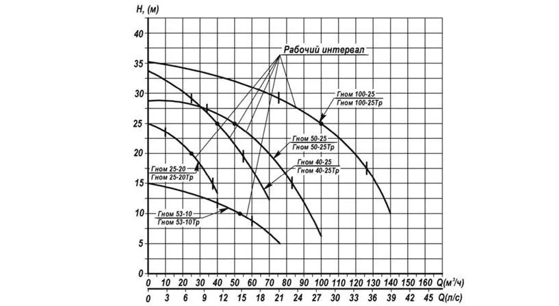 Ливгидромаш Гном 100-25 Ливгидромаш Гном 100-25