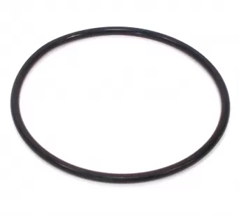 Уплотнитеное кольцо корпуса JET 900D INOX Уплотнитеное кольцо корпуса JET 900D INOX