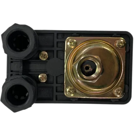 Реле давления COELBO PRESSOSTAT PS 2 Реле давления COELBO PRESSOSTAT PS 2