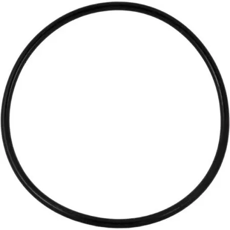 Уплотнительное резиновое кольцо для корпусов серии Аквабрайт ВВ, Р-ББ Уплотнительное резиновое кольцо для корпусов серии Аквабрайт ВВ, Р-ББ