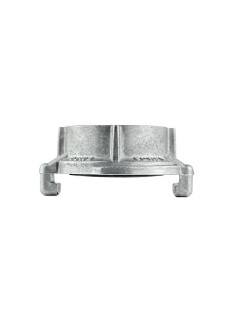 Головка муфтовая ЦВЕТЛИТ ГМ-50-1,6 ПМ УХЛ1 Головка муфтовая ЦВЕТЛИТ ГМ-50-1,6 ПМ УХЛ1