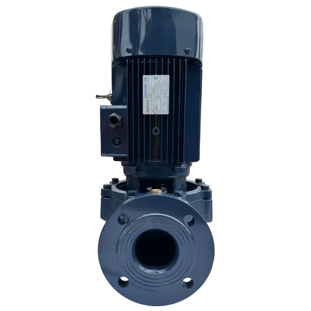 Циркуляционный насос MAXPUMP IL 65-310/30