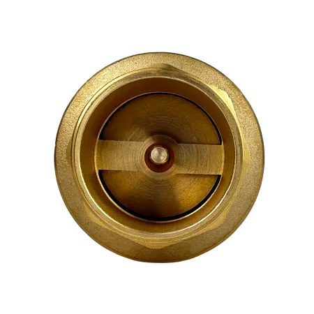 Обратный клапан MAXPUMP ¾&quot;