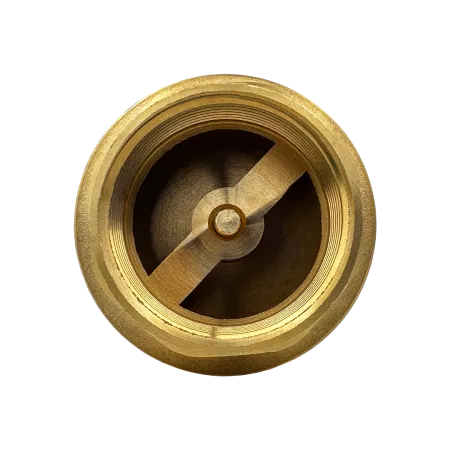 Обратный клапан MAXPUMP 1&quot;