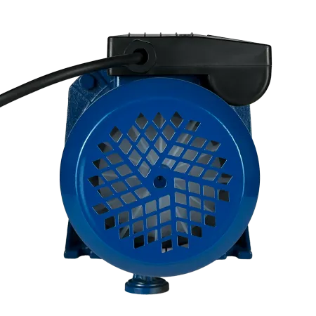 Поверхностный насос MAXPUMP JSW 900 Поверхностный насос MAXPUMP JSW 900