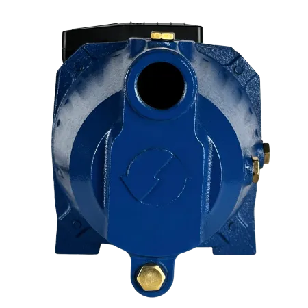 Поверхностный насос MAXPUMP JSW 900 Поверхностный насос MAXPUMP JSW 900