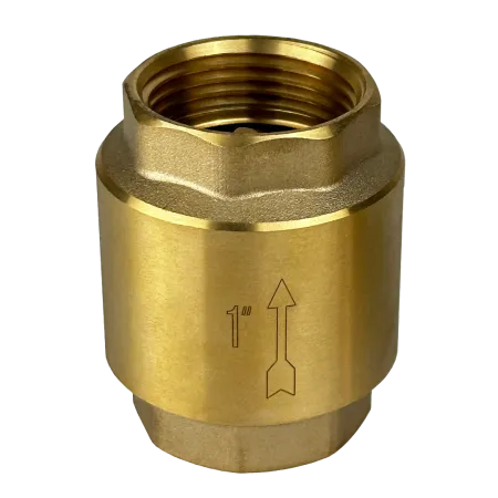 Обратный клапан MAXPUMP 1&quot;