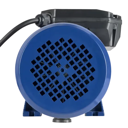 Поверхностный насос MAXPUMP MH 1300D SS Поверхностный насос MAXPUMP MH 1300D SS