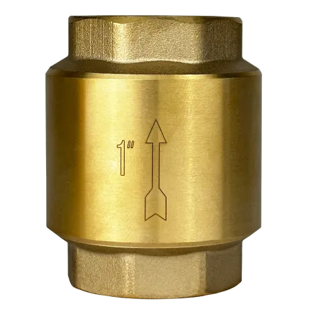 Обратный клапан MAXPUMP 1&quot;