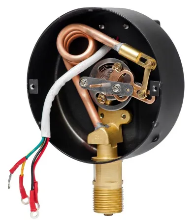 Манометр электроконтактный ФизТех ДМ2010ф 0-600 кПа кл.т.1,5