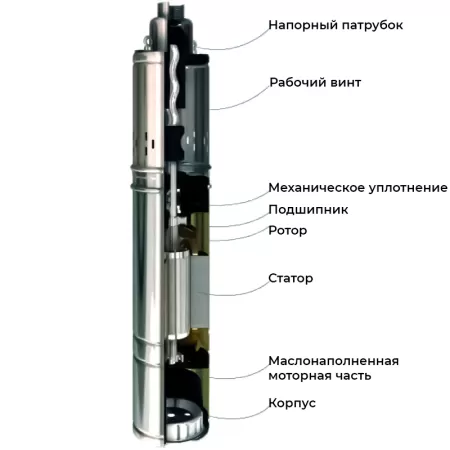 MAXPUMP maxiVINT MAXPUMP maxiVINT