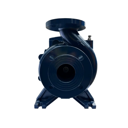 Циркуляционный насос MAXPUMP F 50-250/220