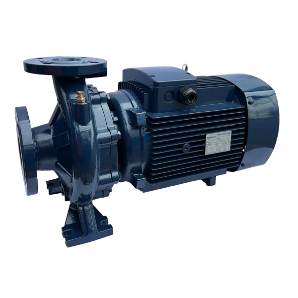 Насос MAXPUMP F 50-250/220